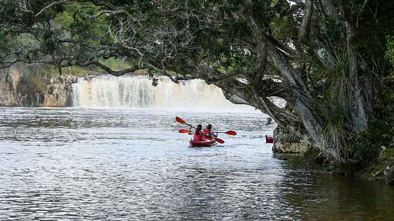 Join us for a unique Northland experience and kayak to the incredible Haruru Falls in the beautiful Bay of Islands!